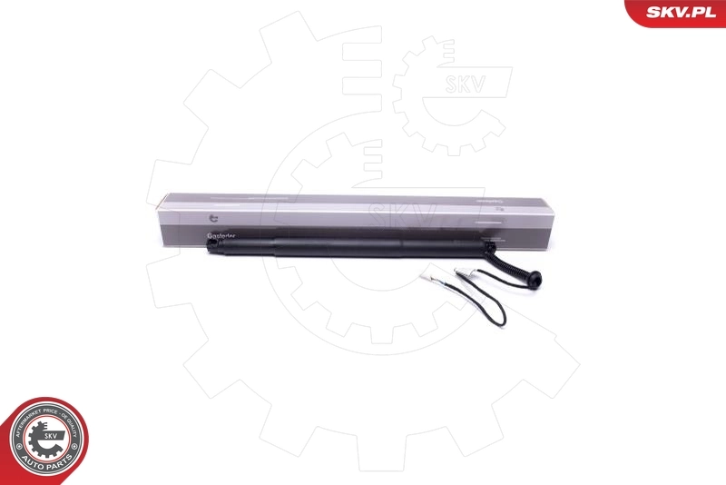 Electric Motor, tailgate